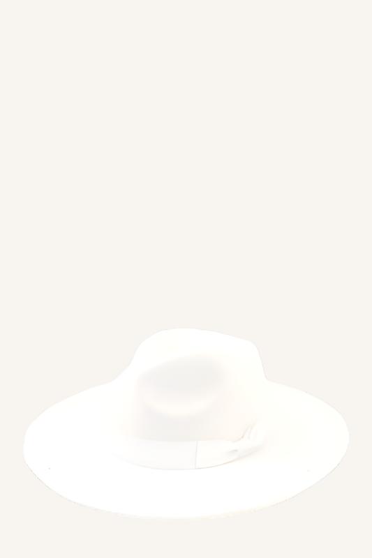 Fashion Fedora