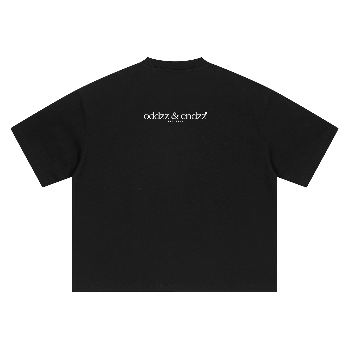 Rock & Roll Hall of Fame Legends Oversized Graphic Tee